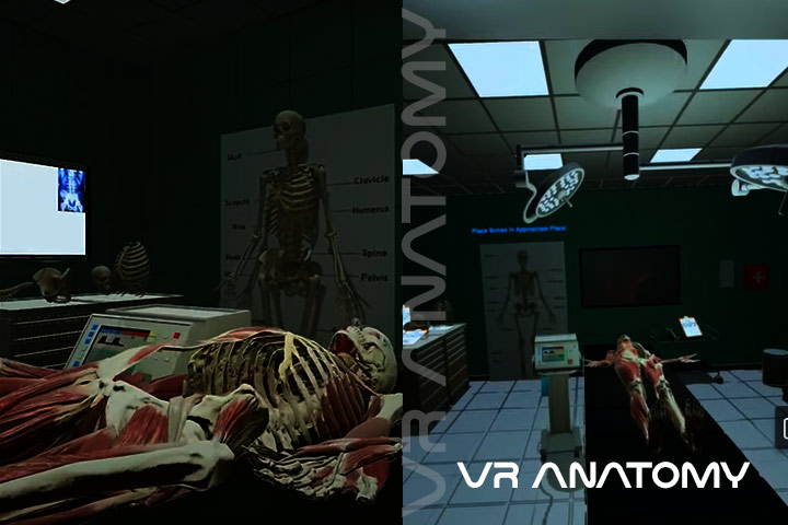 VR Anatomy